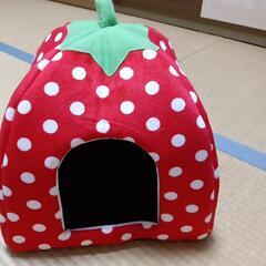 新品小犬ペットお家の画像