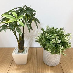 フェイクグリーン 6点セット 観葉植物の画像