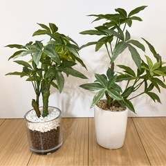 フェイクグリーン 6点セット 観葉植物の画像