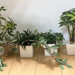 フェイクグリーン 6点セット 観葉植物