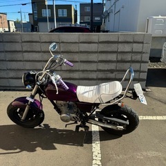 エイプ50 AC16