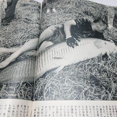 1989年　平成元年　11月2日　週刊新潮　雑誌　当時物　富士山大沢崩れ　原子力エネルギー　の画像