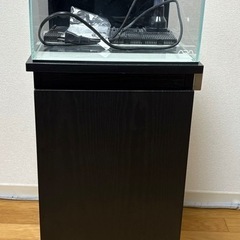 手渡しのみ】ADA キューブガーデン30、水槽台、GEX壁掛けフィルター