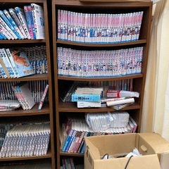 漫画　単行本約500冊？の画像