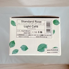 [美品・廃盤品]フレッシュルックスタンダードローズ・ライトカフェの画像