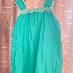 防水エプロン　洗車や入浴介助、ペットのシャンプーなどにの画像