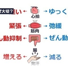 【常時開催！】自律神経バランスを整える!腸とへそヒーリング体験会の画像