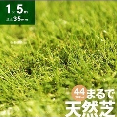 リアル人工芝1m×5m