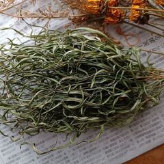 ドライフラワー　4種類の画像