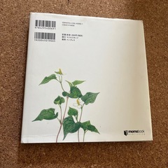 道草の名前の画像