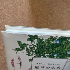 道草の名前の画像