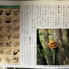 天然マスタケ2kgの画像