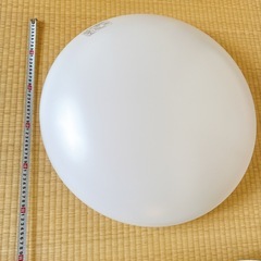【決まりました】National 蛍光灯照明器具