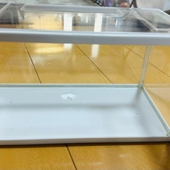 水槽の画像