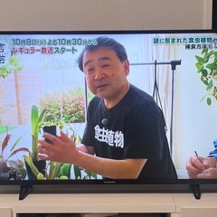 FUNAI  4Kテレビ　40インチ