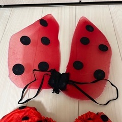 ハロウィン仮装⭐︎てんとう虫の画像