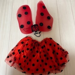 ハロウィン仮装⭐︎てんとう虫