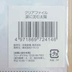 ■お値下げ中■新品未使用・未開封■１００枚セット■AKBクリアファイル・チームサプライズ・涙に沈む太陽・柏木由紀・篠田麻里子・宮澤佐江■の画像