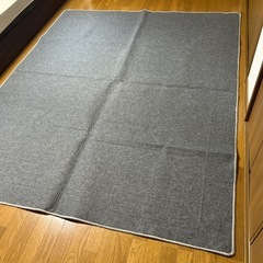 ニトリ ホットカーペット 230cm x 190cm 