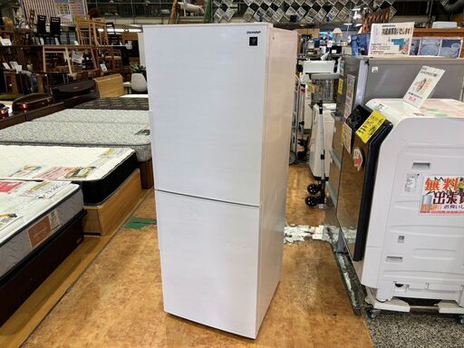 【愛品館 市原店】SHARP 2020年製 280L 2ドア冷蔵庫 SJ-PD28F-W【愛市IR017092-104】