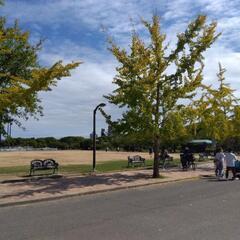 長居公園inジョギング会&会員交流会