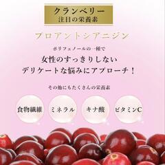 クランベリー チュアブルの画像