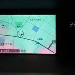 低重心で安定した走り！オールブラックのオデッセイ！の画像