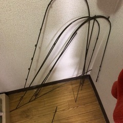 胡蝶蘭の植木鉢（支柱付き）の画像