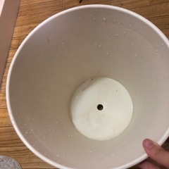 胡蝶蘭の植木鉢（支柱付き）の画像
