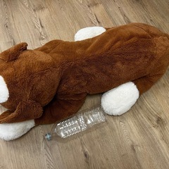 ぬいぐるみ 犬の画像