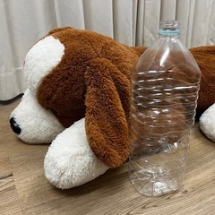 ぬいぐるみ 犬の画像