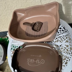 子猫用トイレ