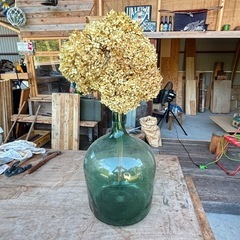 デミジョンボトル　ドライフラワー　インテリア　観葉植物
