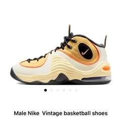 【新品未使用】NIKE AIR PENNY 2   /  30センチ
