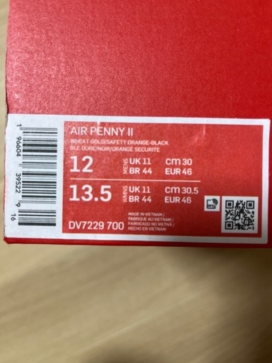 【新品未使用】NIKE AIR PENNY 2   /  30センチ