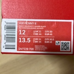 【新品未使用】NIKE AIR PENNY 2   /  30センチの画像