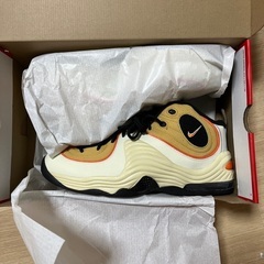 【新品未使用】NIKE AIR PENNY 2   /  30センチの画像