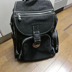 キャリーバッグ　リュックサックの画像