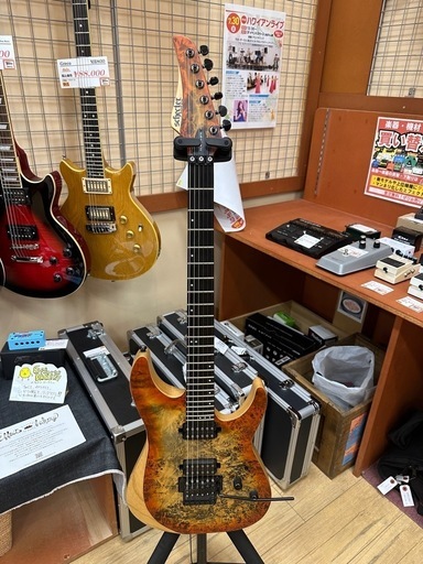 商談中　希少 Schecter  Reaper6FR 2019スポットモデル