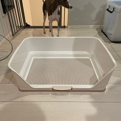 犬用トイレトレー　壁付き　40 × 65