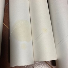 キッチンタオル等の柔らかい芯50本④の画像