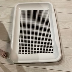 犬用トイレトレー　小　リッチェル　