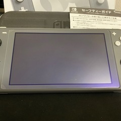Switch Lite グレーの画像