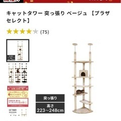 【取引先決定】
猫飼育セット