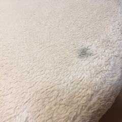 クッションの画像