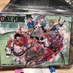 ワンピースケース