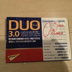 DUO3.0