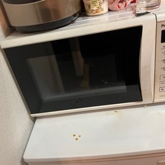 電子レンジ