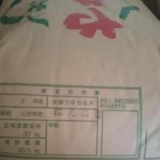はえぬき(古々米)