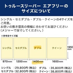 トゥルースリーパー　エアフリー　ダブルサイズの画像